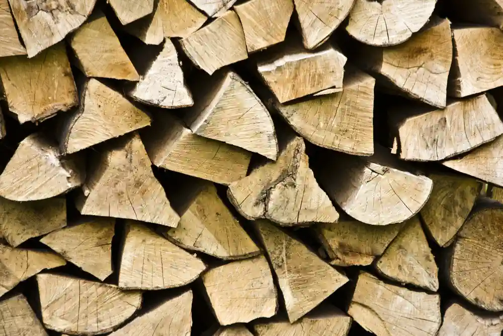 Image tas de bois